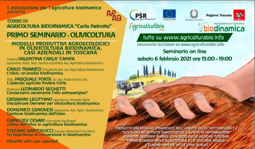 Settimane Tematiche Di Formazione, Si Comincia Con L’olivicoltura