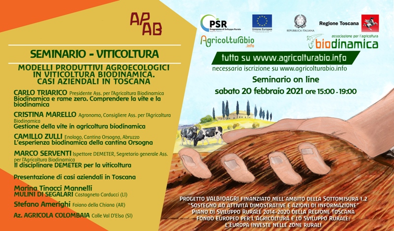 Settimane Tematiche Di Formazione, Il 20 Febbraio Webinar Sulla Viticoltura