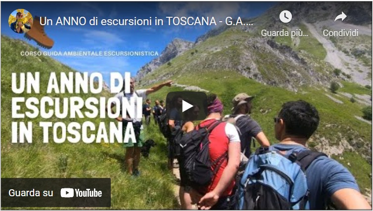 Un Anno Di Escursioni In Toscana